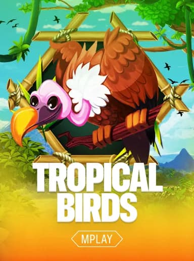 Tropical Birds